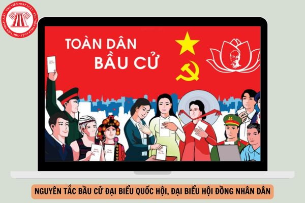 Theo Hiến pháp năm 2013 sửa đổi bởi Nghị quyết 203/2025/QH15, việc bầu cử đại biểu Quốc hội và đại biểu Hội đồng nhân dân được tiến hành theo nguyên tắc?