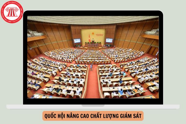 Hỏi đáp Pháp luật
