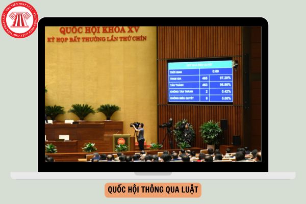 Hỏi đáp Pháp luật