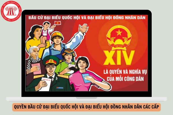 Công dân Việt Nam bao nhiêu tuổi có quyền bầu cử đại biểu Quốc hội và đại biểu Hội đồng nhân dân các cấp?