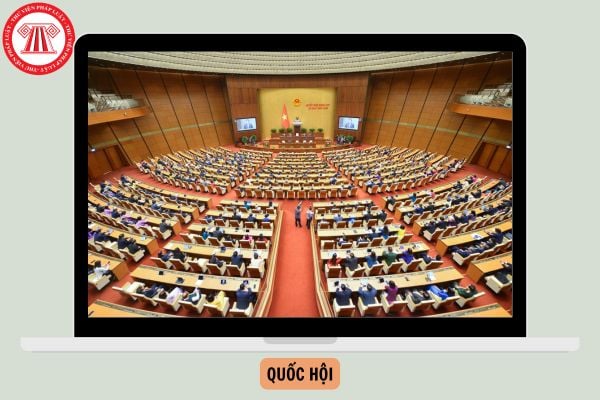 Hỏi đáp Pháp luật