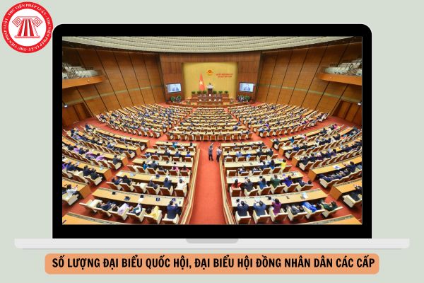 Hỏi đáp Pháp luật
