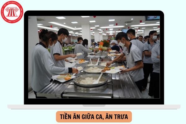 Hỏi đáp Pháp luật