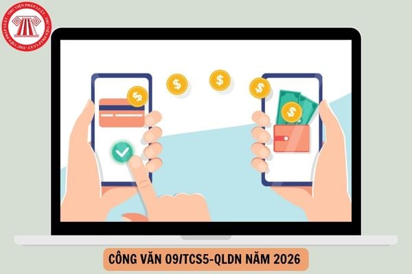 Hỏi đáp Pháp luật