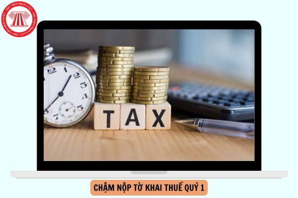 Hỏi đáp Pháp luật