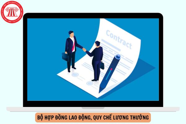 Hỏi đáp Pháp luật