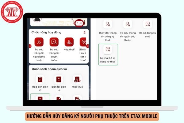 Hỏi đáp Pháp luật