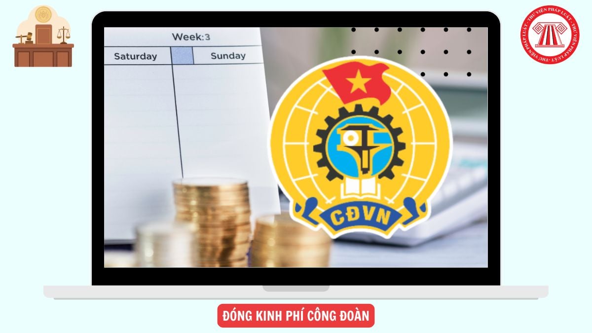 Hỏi đáp Pháp luật