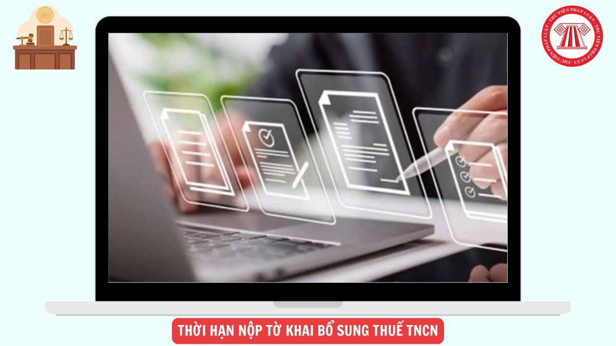 Hỏi đáp Pháp luật