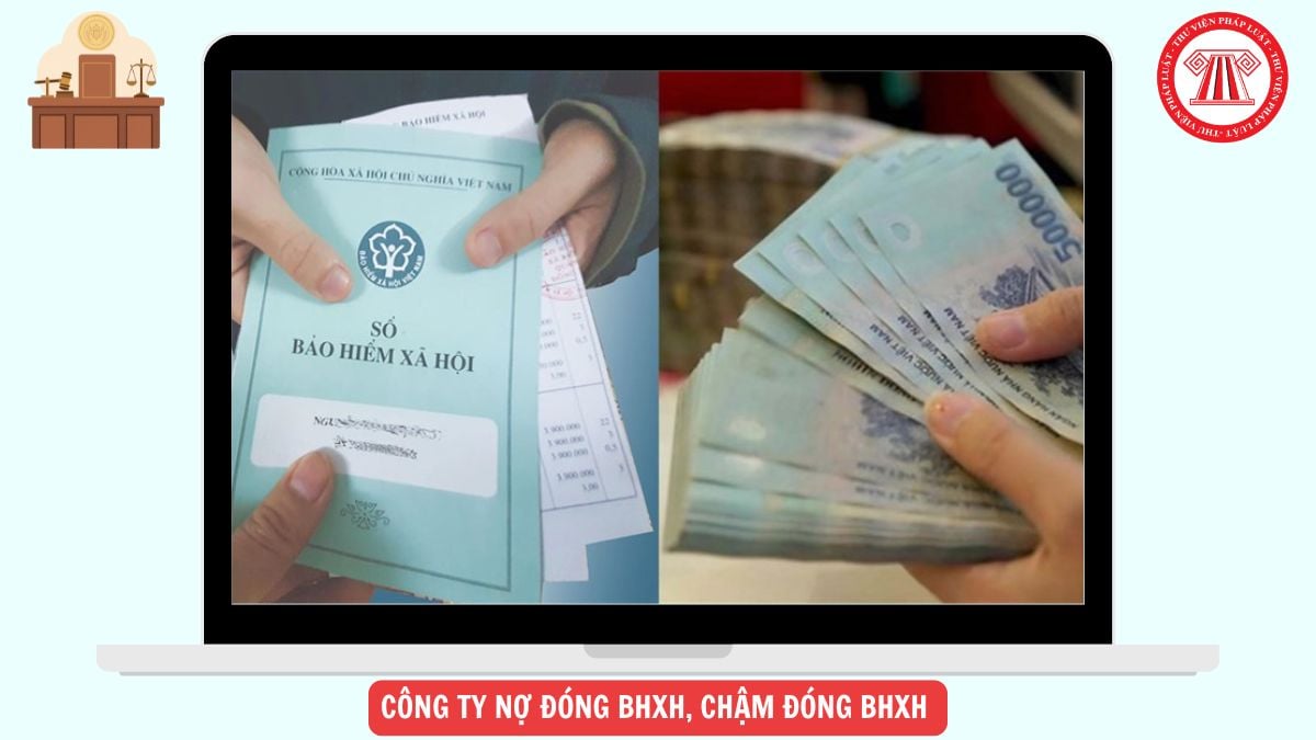 Làm sao biết công ty nợ đóng BHXH, chậm đóng BHXH không?