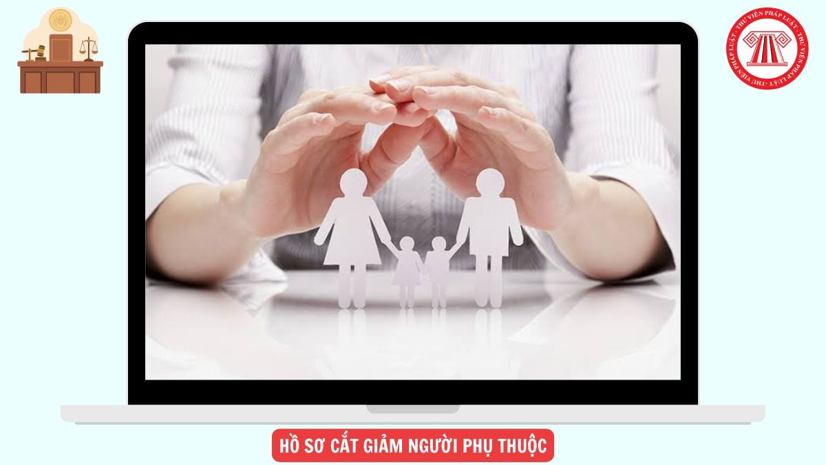 Hỏi đáp Pháp luật