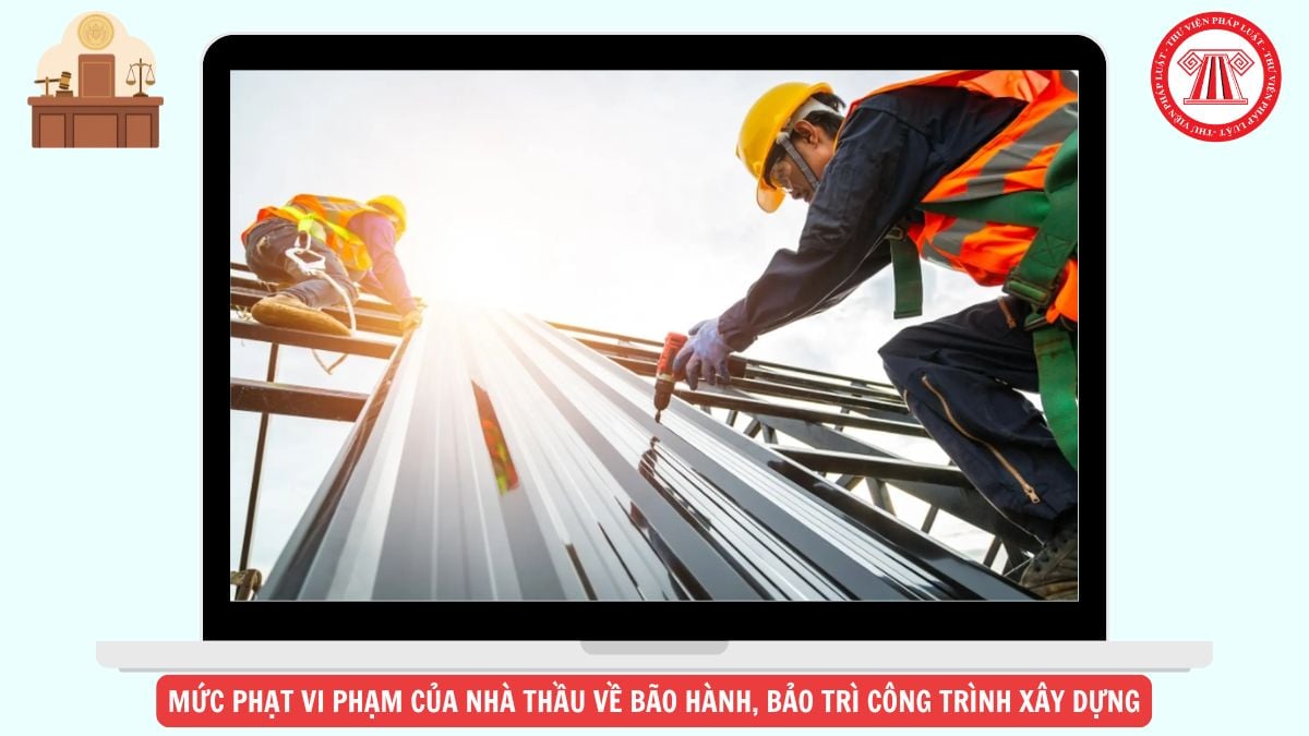 Hỏi đáp Pháp luật