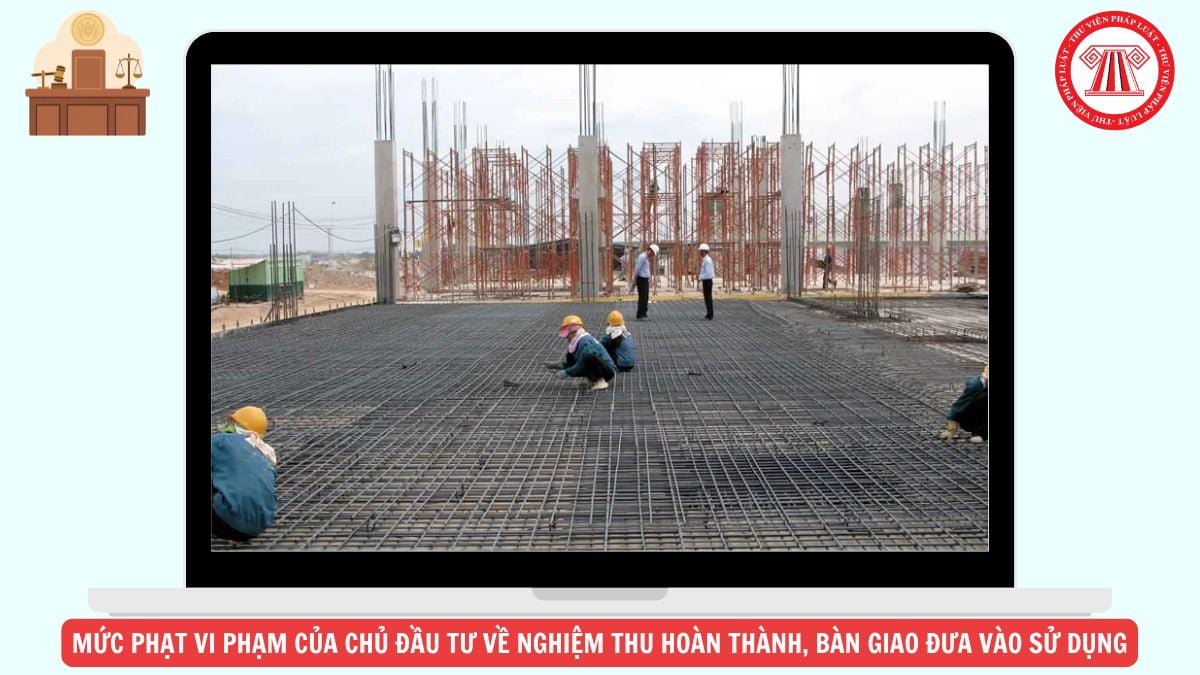 Hỏi đáp Pháp luật