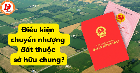 dieu-kien-chuyen-nhuong-dat-thuoc-so-huu-chung?