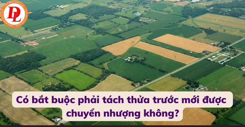 co-bat-buoc-phai-tach-thua-truoc-moi-duoc-chuyen-nhuong-khong?
