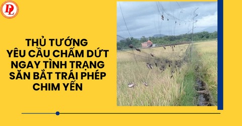 thu-tuong-yeu-cau-cham-dut-ngay-tinh-trang-san-bat-trai-phep-chim-yen