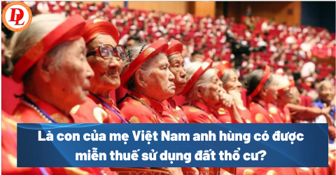 la-con-cua-me-viet-nam-anh-hung-co-duoc-mien-thue-su-dung-dat-tho-cu