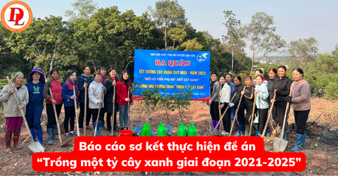 bao-cao-so-ket-thuc-hien-de-an-trong-mot-ty-cay-xanh-giai-doan-2021-2025