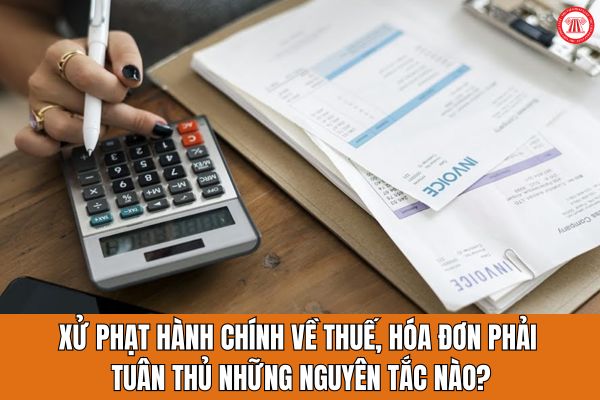 Pháp luật