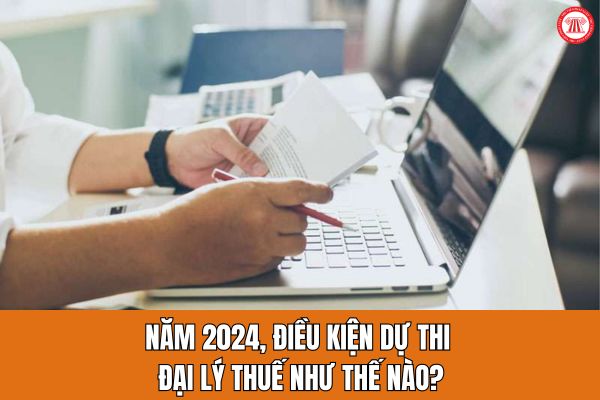 Năm 2024, điều kiện dự thi đại lý thuế như thế nào?