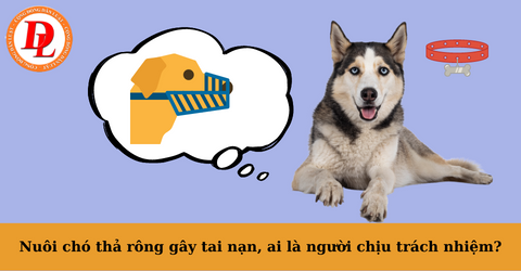 cho-tha-rong-gay-tai-nan