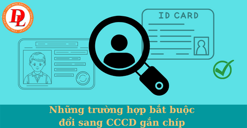 cccd-gan-chip