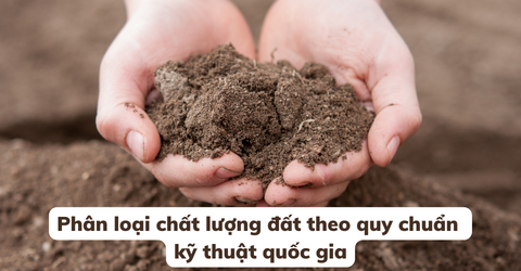 phan-loai-chat-luong-dat-theo-quy-chuan-ky-thuat-quoc-gia