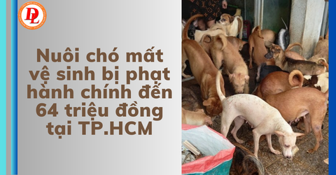 nuoi-cho-mat-ve-sinh-bi-phat-hanh-chinh-den-64-trieu-dong-tai-tphcm