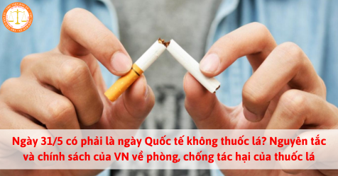 Ngày 31/5 có phải là ngày Quốc tế không thuốc lá? Nguyên tắc và chính sách của Việt Nam về phòng, chống tác hại của thuốc lá
