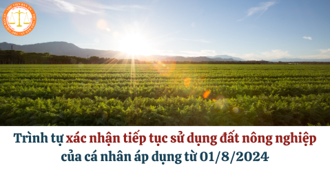 Trình tự xác nhận tiếp tục sử dụng đất nông nghiệp của cá nhân mới nhất áp dụng từ 01/8/2024