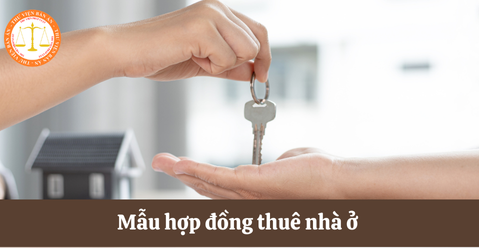 Mẫu hợp đồng thuê nhà ở theo Nghị định 96? Nguyên tắc khi xác lập hợp đồng thuê nhà ở