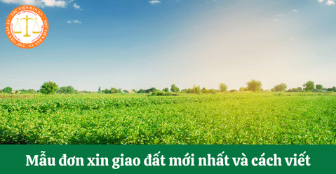 Mẫu đơn xin giao đất mới nhất và cách viết? Nộp đơn xin giao đất tại đâu?