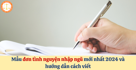 Mẫu đơn tình nguyện nhập ngũ mới nhất 2024 và hướng dẫn cách viết