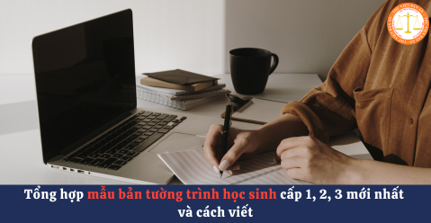 Tổng hợp mẫu bản tường trình học sinh cấp 1, 2, 3 mới nhất và cách viết