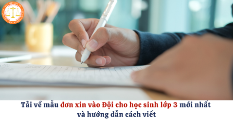 Tải về mẫu đơn xin vào Đội cho học sinh lớp 3 mới nhất và hướng dẫn cách viết