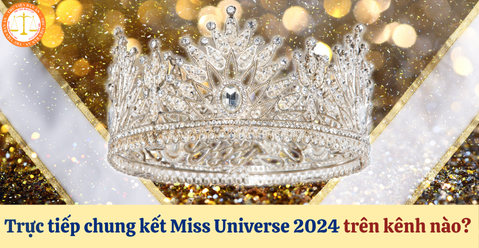 Trực tiếp chung kết Miss Universe 2024 trên kênh nào? Điều kiện dự thi hoa hậu quốc tế là gì?