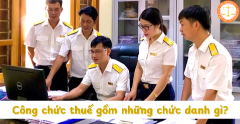 Công chức thuế gồm những chức danh gì? Bảng lương công chức thuế mới nhất hiện nay