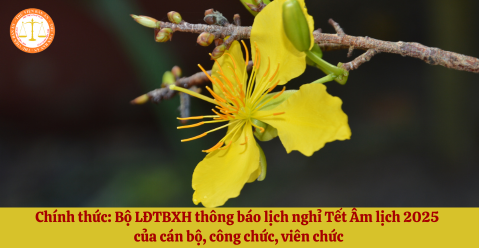 Chính thức: Bộ LĐTBXH thông báo lịch nghỉ Tết Âm lịch 2025 của cán bộ, công chức, viên chức