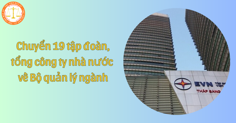 Kế hoạch 141/KH-BCĐTKNQ18: Chuyển 19 tập đoàn, tổng công ty nhà nước về Bộ quản lý ngành