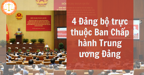 4 Đảng bộ trực thuộc Ban Chấp hành Trung ương Đảng gồm gì? Cơ cấu của 4 Đảng bộ trực thuộc Trung ương như thế nào?