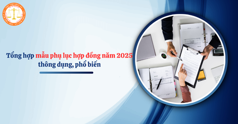 Tổng hợp mẫu phụ lục hợp đồng mới nhất 2025 thông dụng, phổ biến