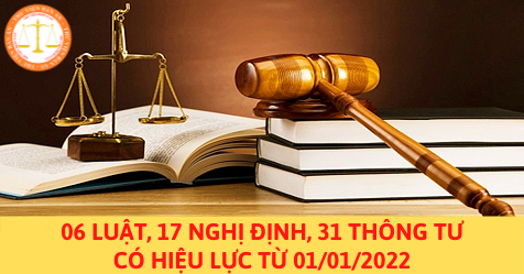 06 Luật, 17 Nghị định, 31 Thông tư có hiệu lực từ 01/01/2022