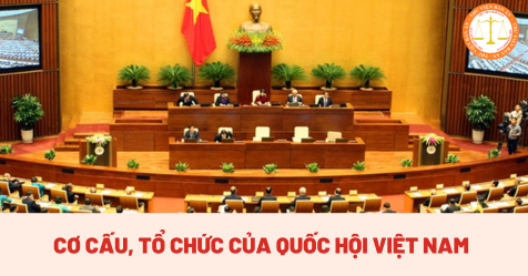 Cơ cấu, tổ chức của Quốc hội Việt Nam