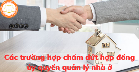 Các trường hợp chấm dứt hợp đồng ủy quyền quản lý nhà ở