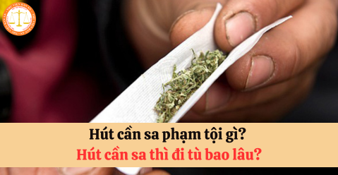 Hút cần sa phạm tội gì? Hút cần sa thì đi tù bao lâu?