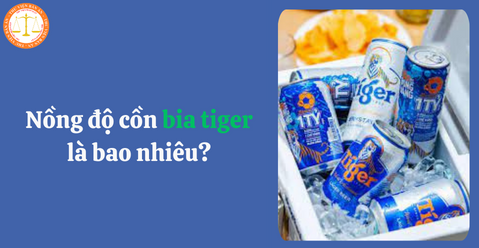 Nồng độ cồn bia Tiger là bao nhiêu? Mức xử phạt uống bia khi lái ô tô và xe máy?