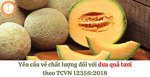 Yêu cầu về chất lượng đối với dưa quả tươi theo TCVN 12356:2018