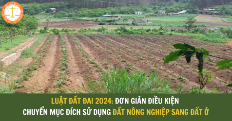 Luật đất đai 2024: Đơn giản điều kiện chuyển mục đích sử dụng đất nông nghiệp sang đất ở