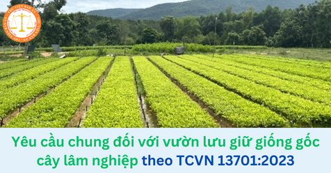 Yêu cầu chung đối với vườn lưu giữ giống gốc cây lâm nghiệp theo TCVN 13701:2023