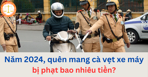 Năm 2024, quên mang cà vẹt xe máy bị phạt bao nhiêu tiền?